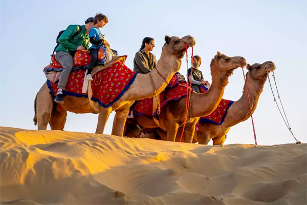 Jaipur Sightseeing Tour Package